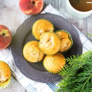 https://healthfinitymeals.com/wp-content/uploads/2022/12/delicious-vegan-spelt-flour-peach-apple-muffins-2021-08-28-18-36-34-utc-min-300x300.jpg